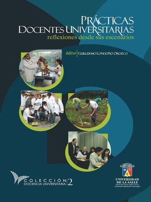 cover image of Prácticas docentes universitarias